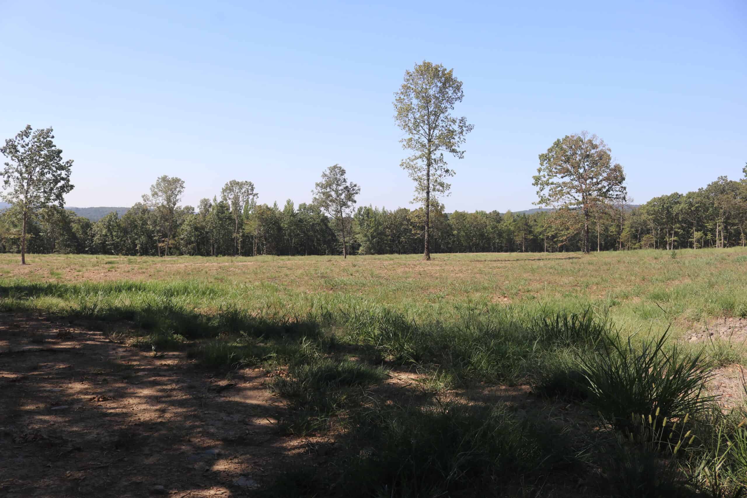 32 Acres For Sale in Clinton AR – Ozark Mountains
