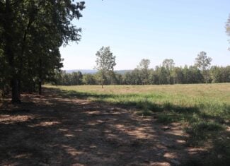 32 Acres For Sale in Clinton AR – Ozark Mountains