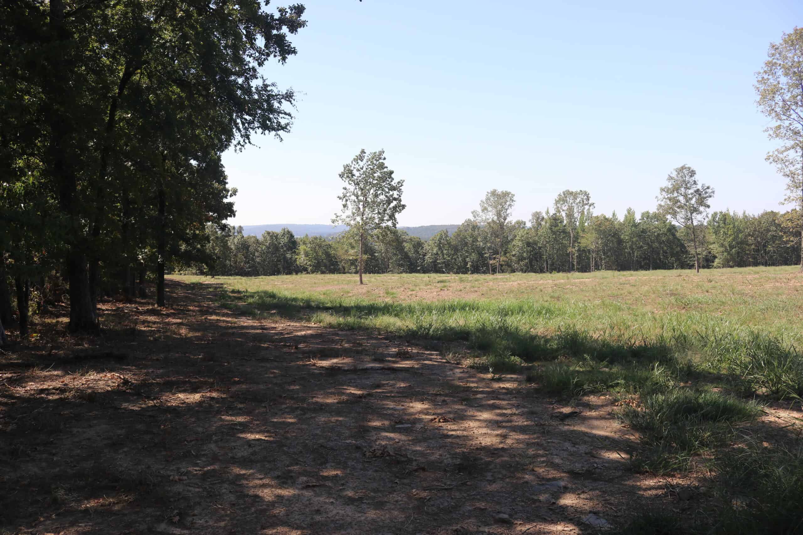 32 Acres For Sale in Clinton AR – Ozark Mountains