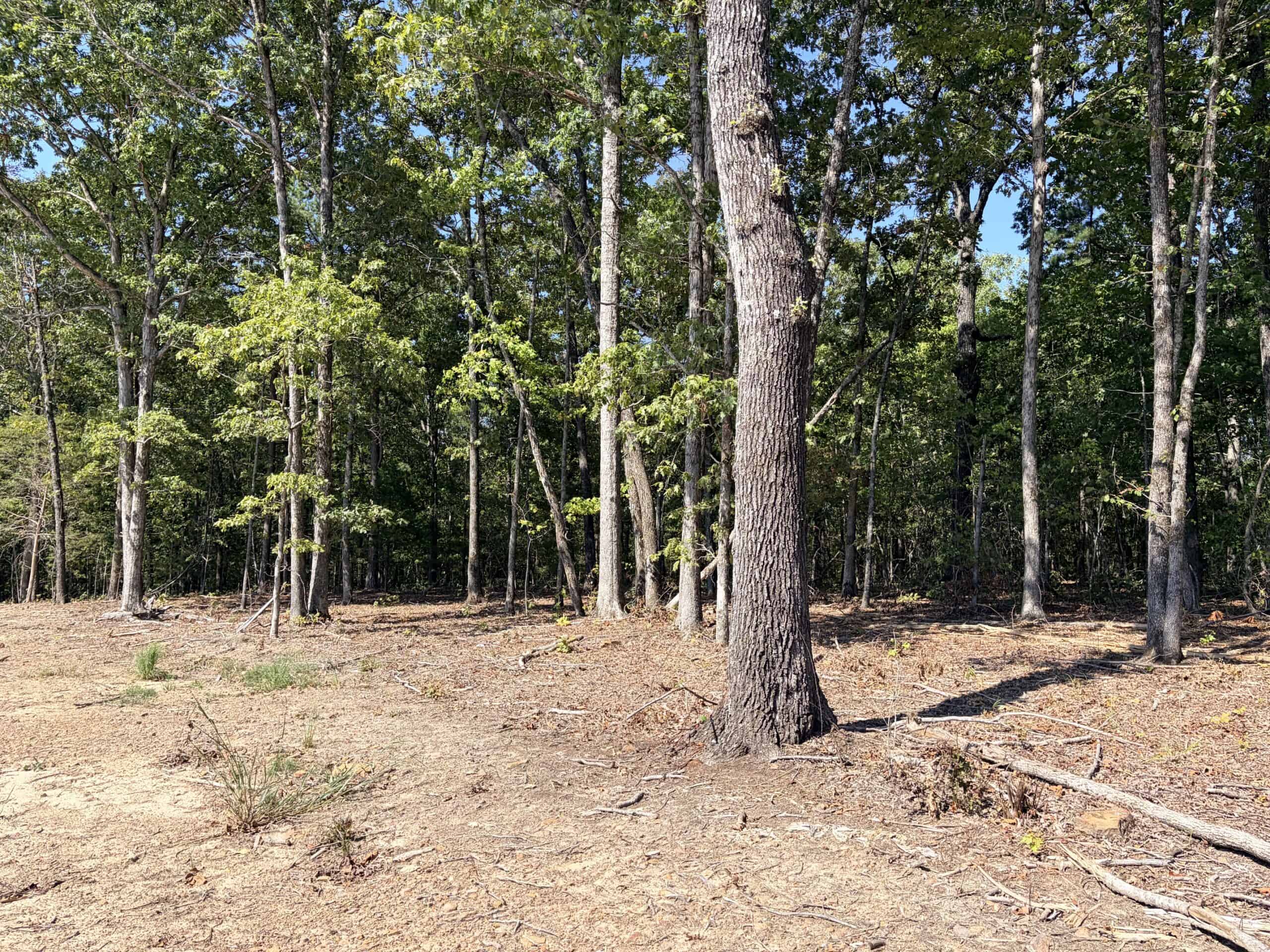 32 Acres For Sale in Clinton AR – Ozark Mountains