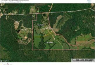 Golden Pines Ranch – 96 Acres