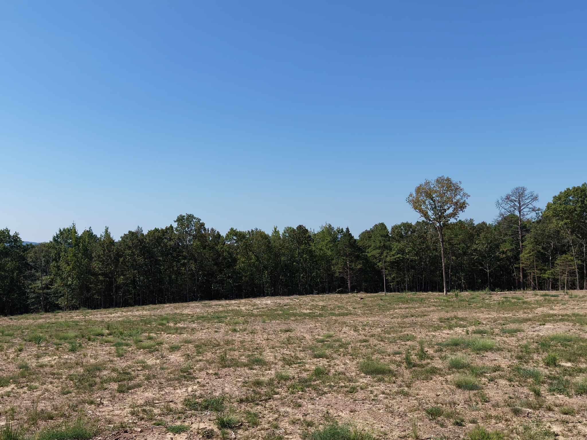 32 Acres For Sale in Clinton AR – Ozark Mountains