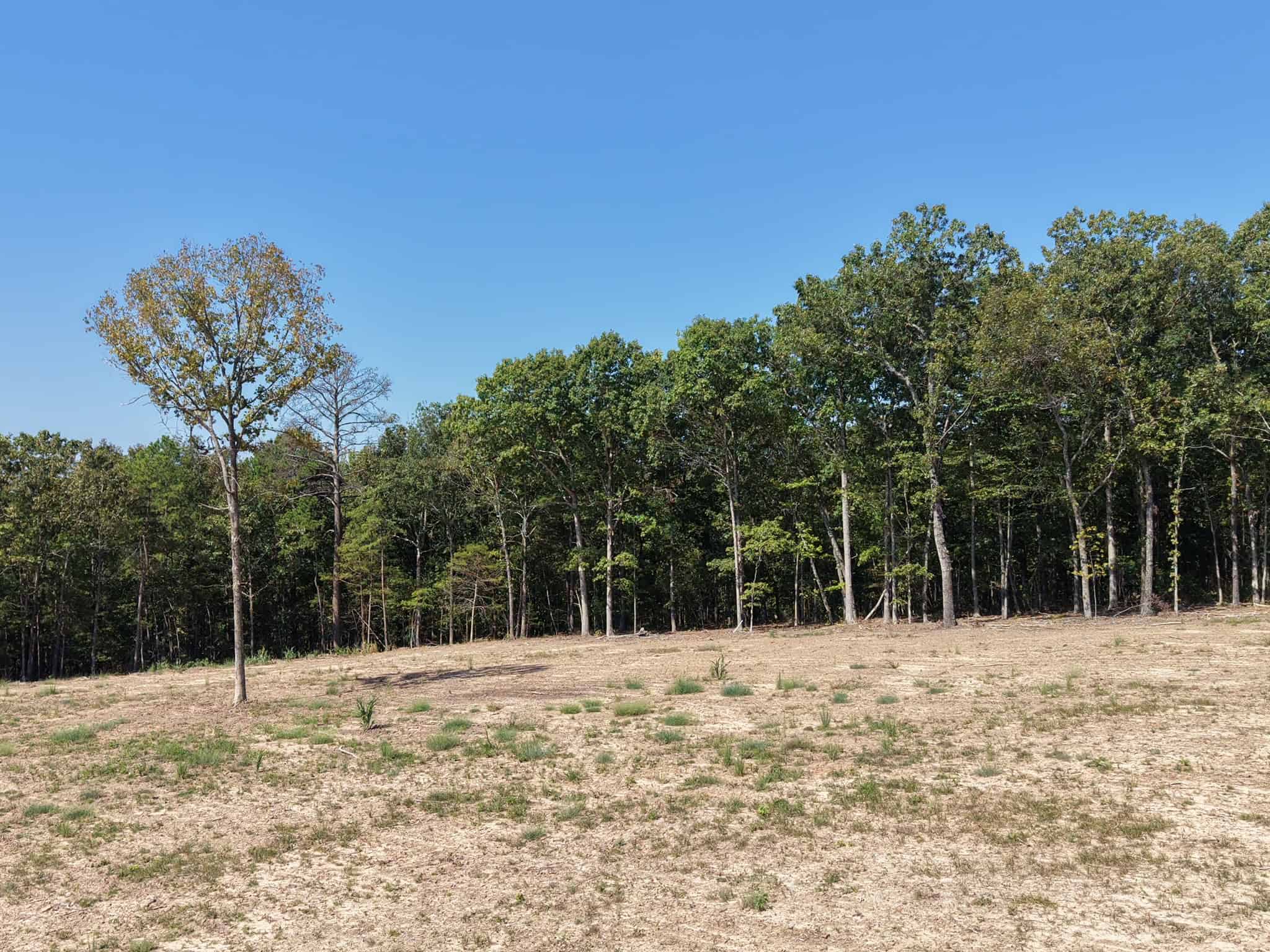32 Acres For Sale in Clinton AR – Ozark Mountains