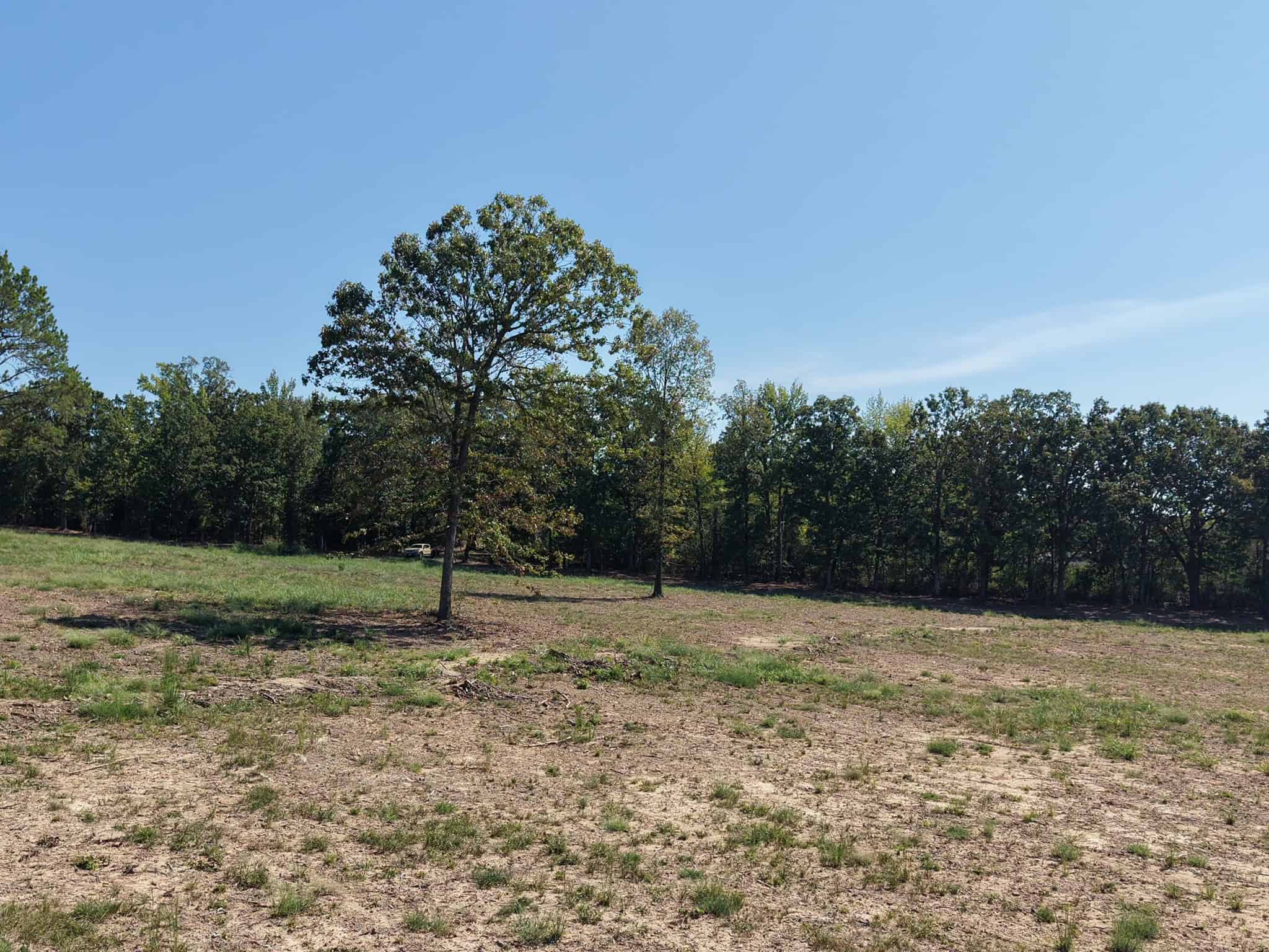 32 Acres For Sale in Clinton AR – Ozark Mountains