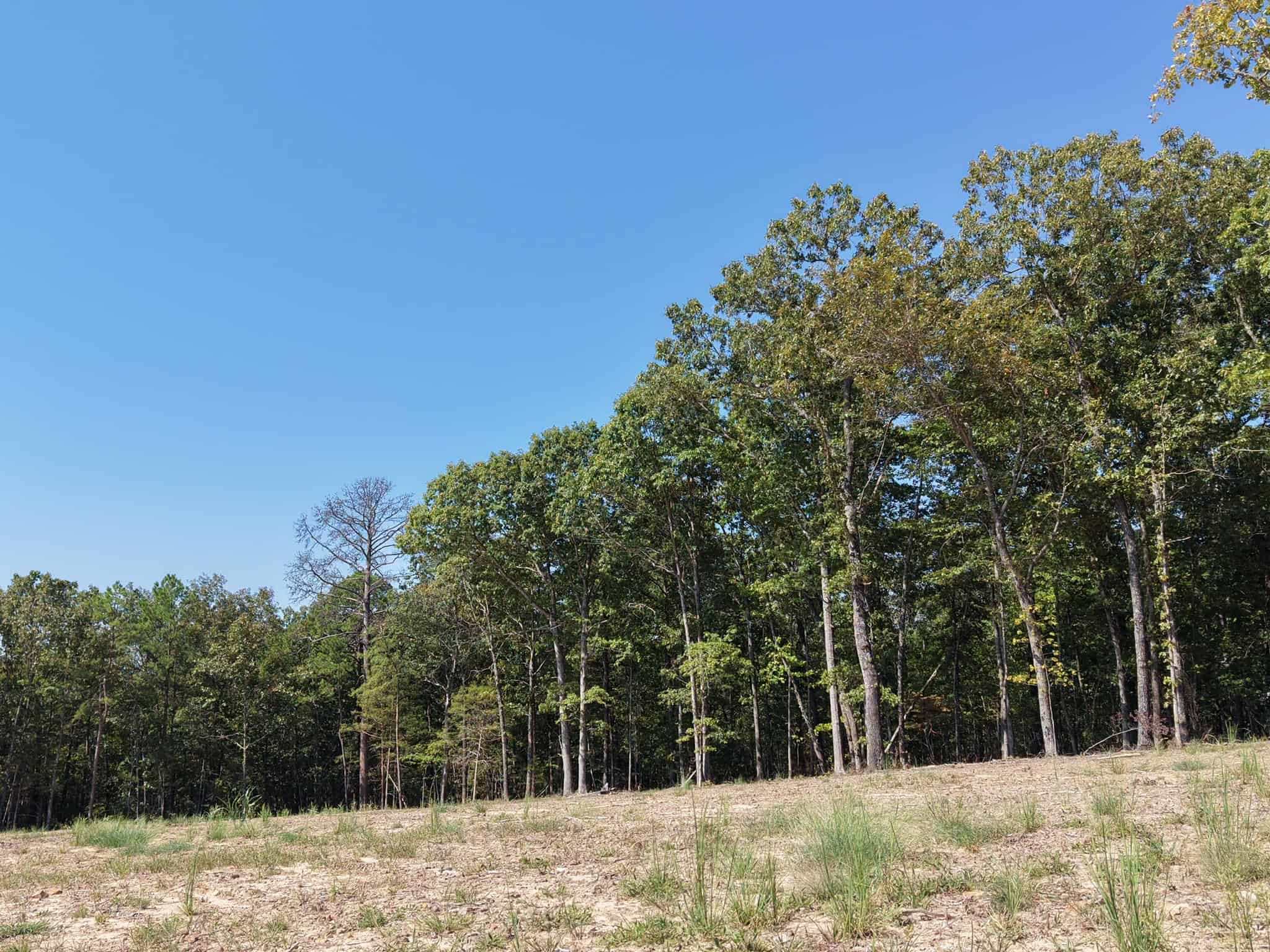 32 Acres For Sale in Clinton AR – Ozark Mountains