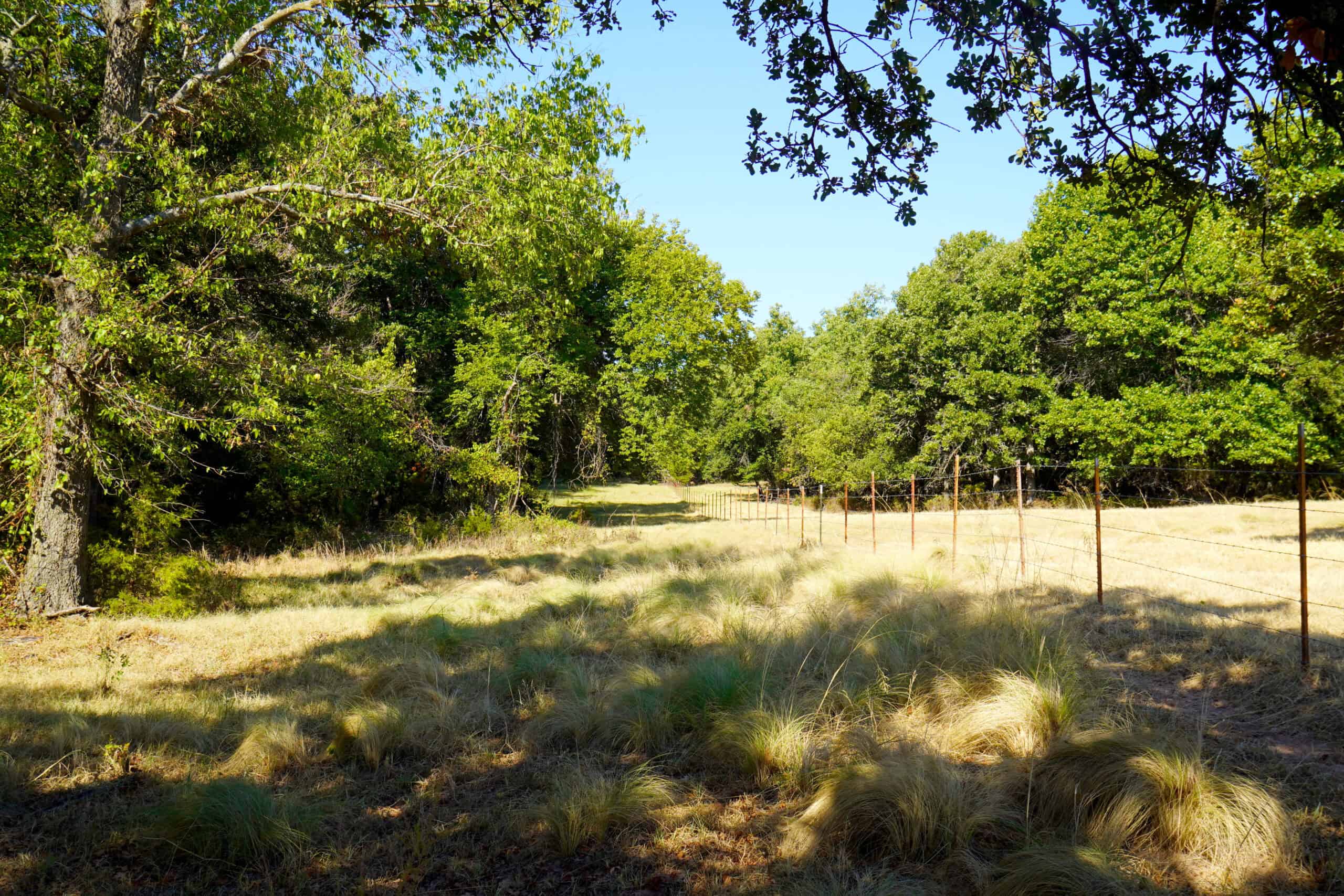 80 Ac Central Ok Pasture Ranch Land For Sale
