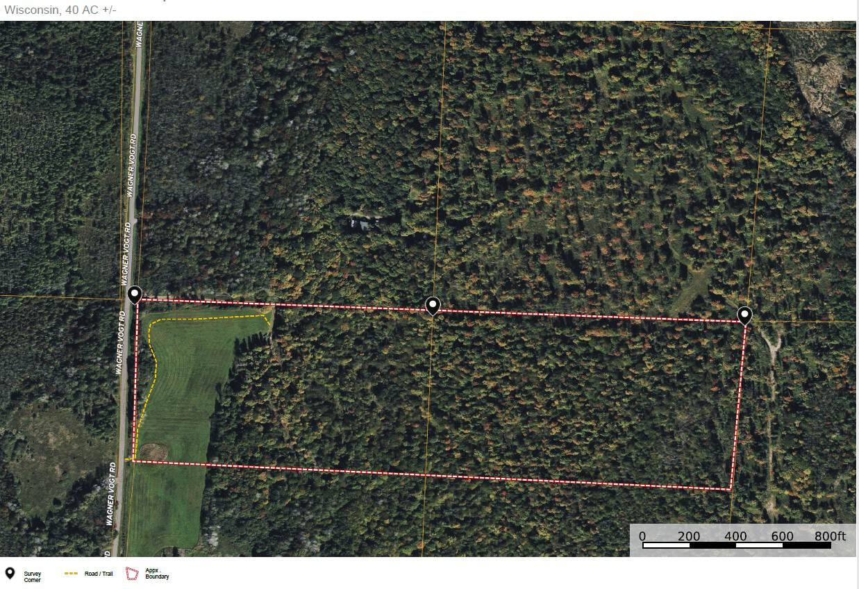 40± Wooded Acres For Sale Near Wisconsin National Forest