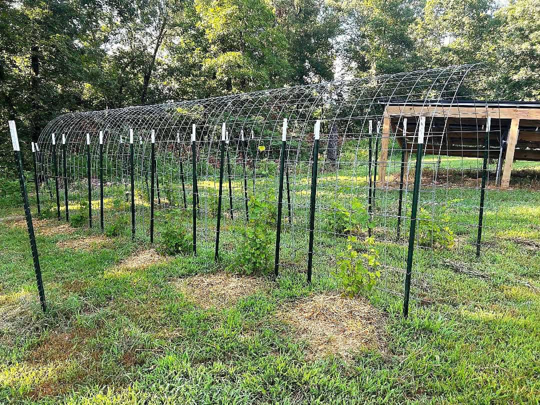 LAND FOR SALE IN NORTH CENTRAL ARKANSAS