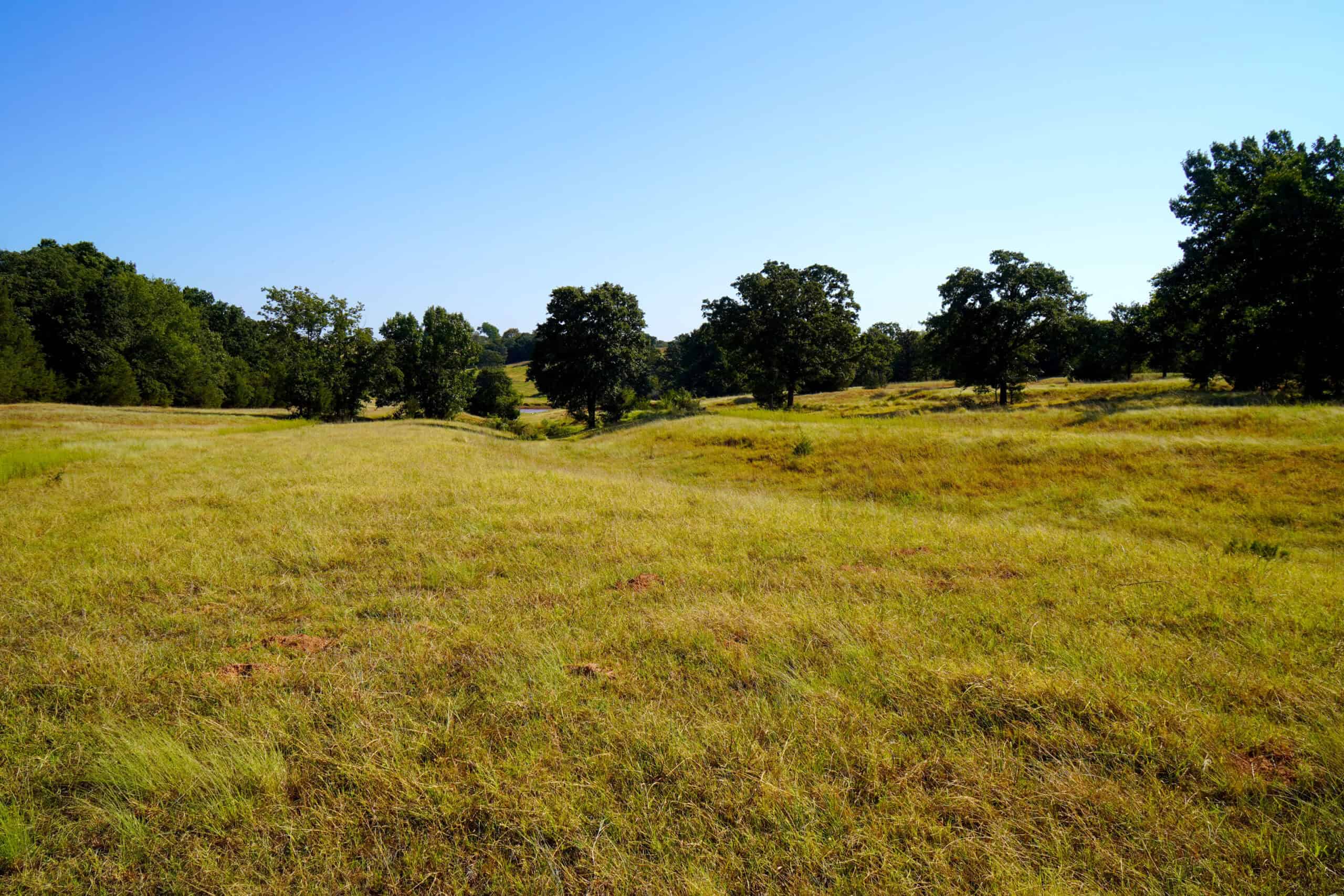 80 Ac Central Ok Pasture Ranch Land For Sale