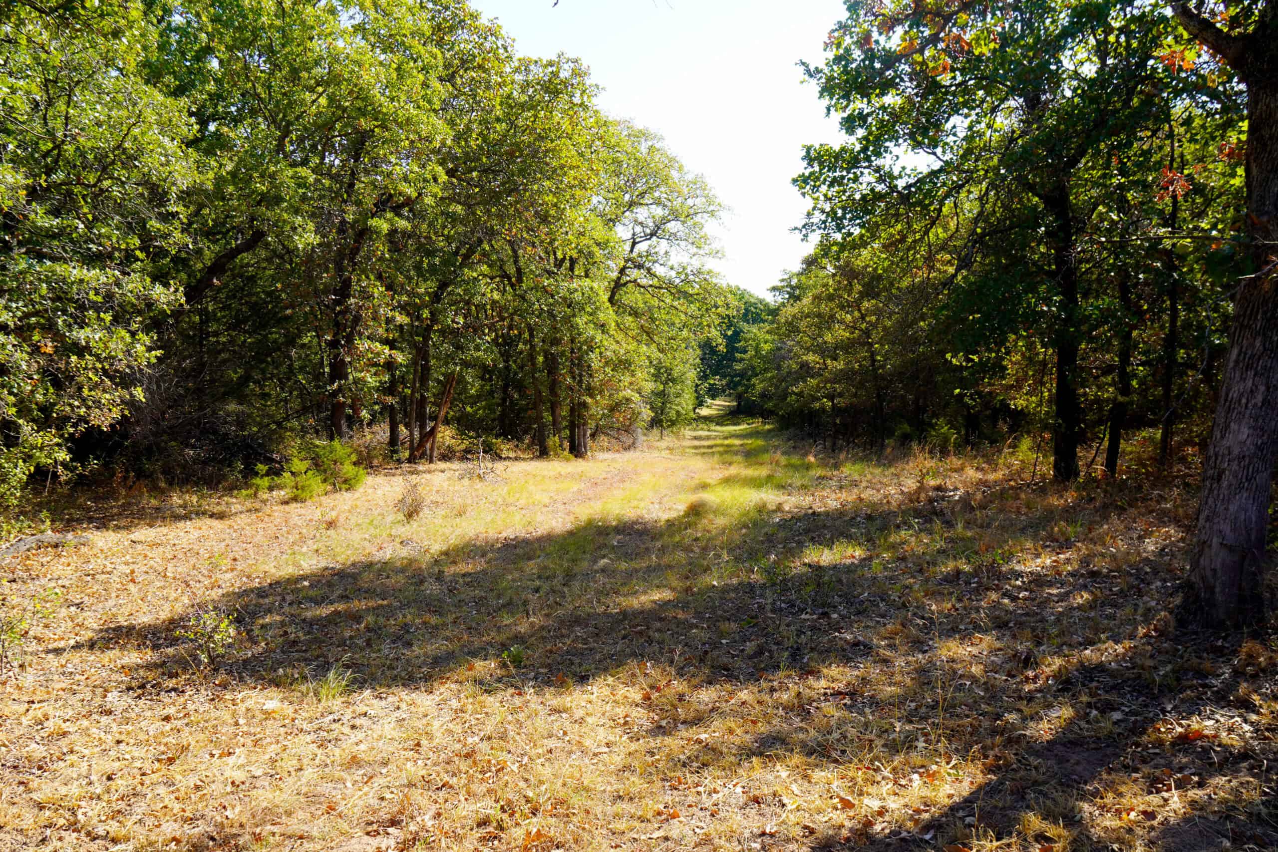 80 Ac Central Ok Pasture Ranch Land For Sale