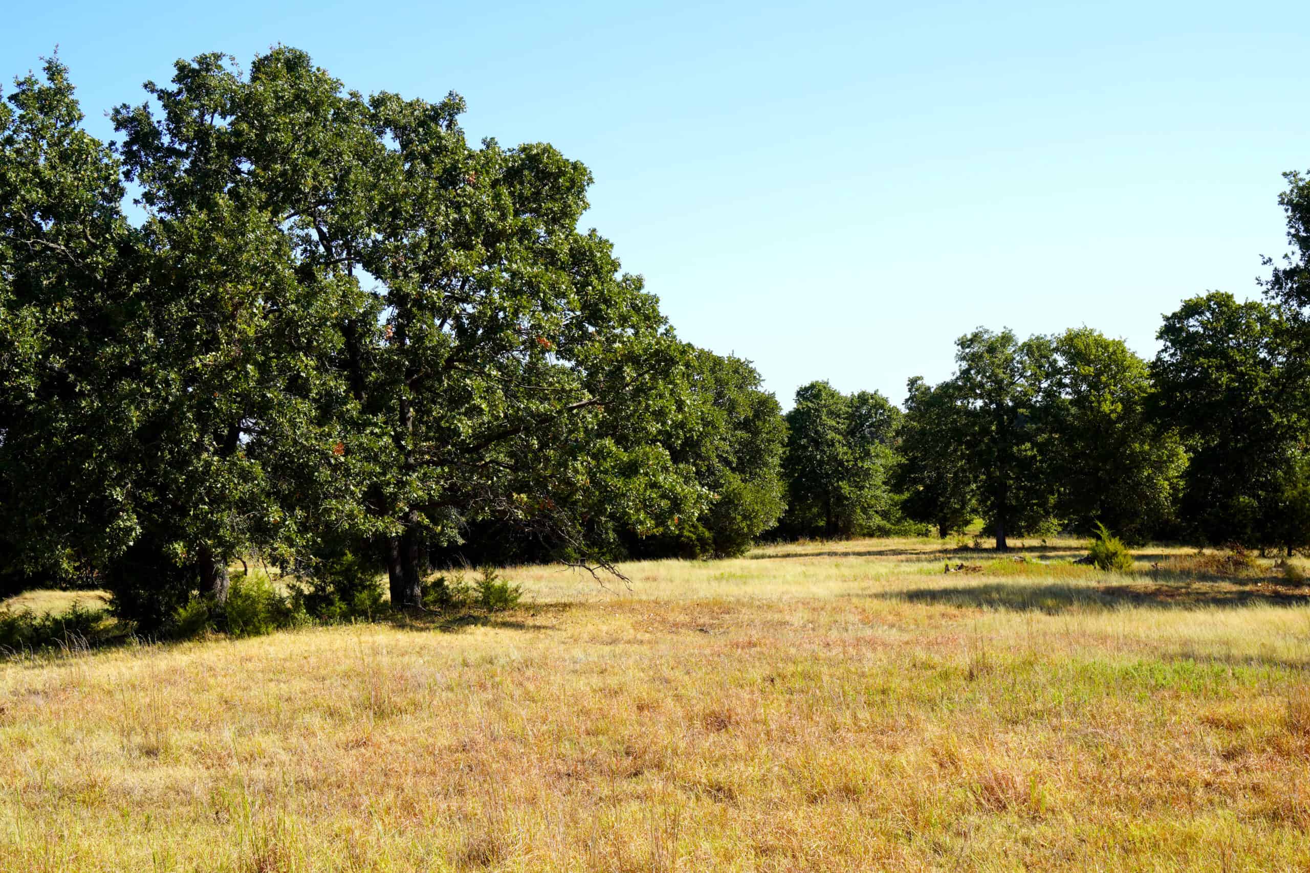 80 Ac Central Ok Pasture Ranch Land For Sale