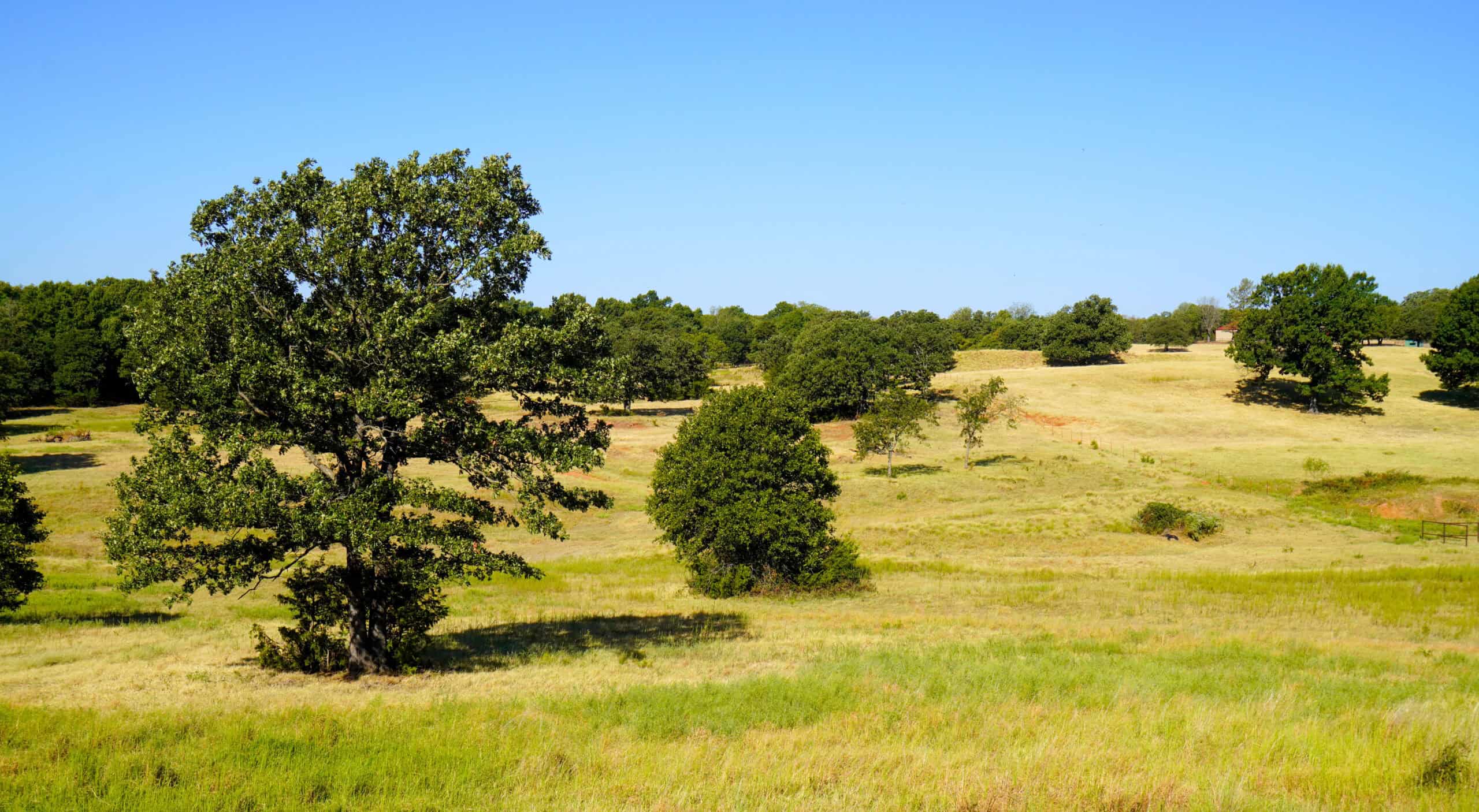80 Ac Central Ok Pasture Ranch Land For Sale