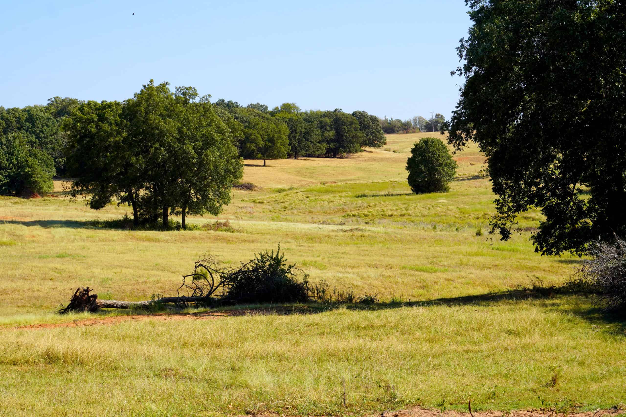 80 Ac Central Ok Pasture Ranch Land For Sale