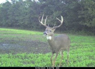 30-Acre Hunting & Camping Retreat with Food Plots, Well & RV Hookups | Adams County, Wisconsin
