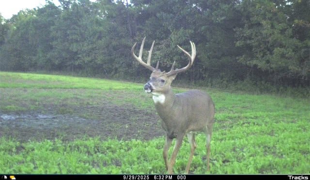 30-Acre Hunting & Camping Retreat with Food Plots, Well & RV Hookups | Adams County, Wisconsin