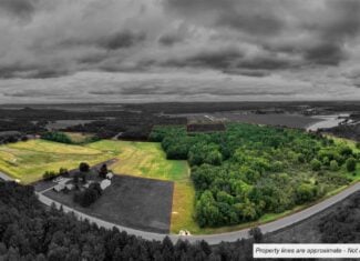 Proven big buck producer 121 Acres in Monroe County