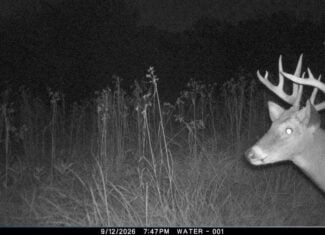 30-Acre Hunting & Camping Retreat with Food Plots, Well & RV Hookups | Adams County, Wisconsin