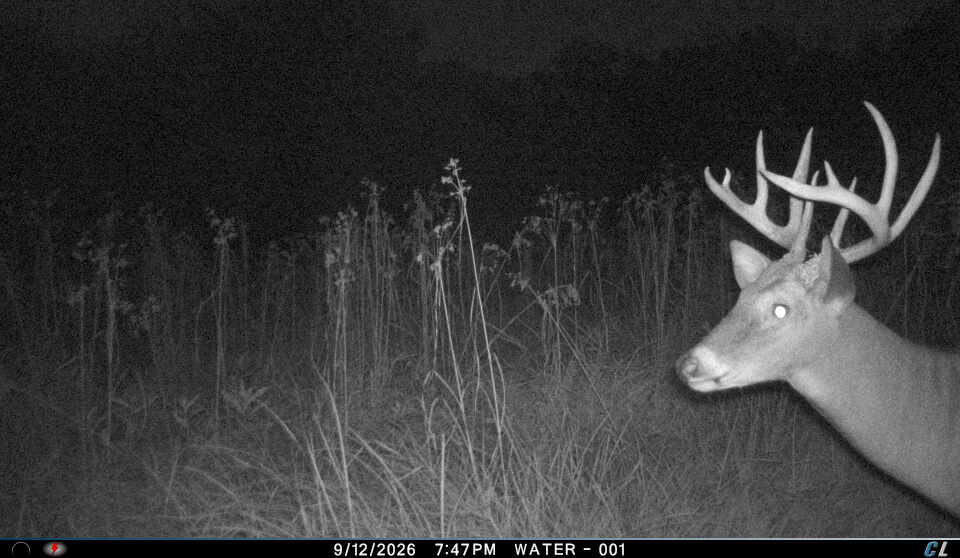 30-Acre Hunting & Camping Retreat with Food Plots, Well & RV Hookups | Adams County, Wisconsin