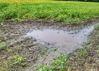 Proven big buck producer 121 Acres in Monroe County