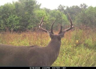 30-Acre Hunting & Camping Retreat with Food Plots, Well & RV Hookups | Adams County, Wisconsin