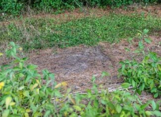 Proven big buck producer 121 Acres in Monroe County