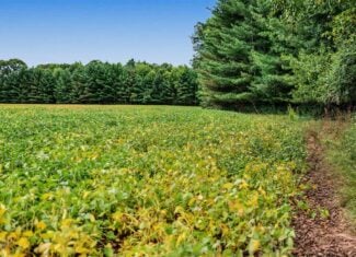 Proven big buck producer 121 Acres in Monroe County