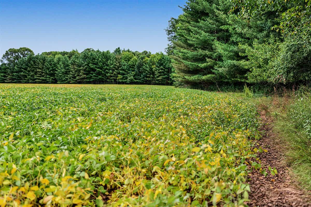 Proven big buck producer 121 Acres in Monroe County