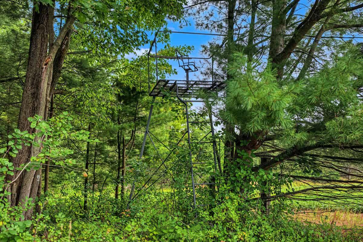 Proven big buck producer 121 Acres in Monroe County