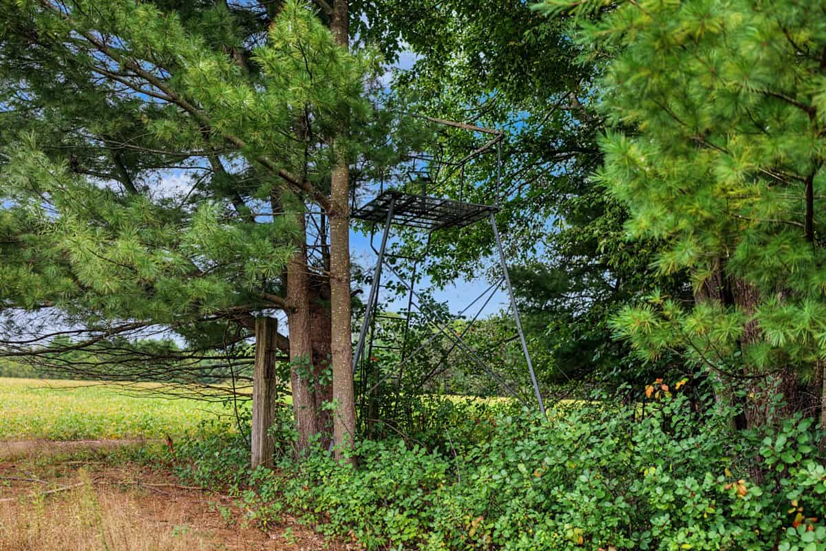 Proven big buck producer 121 Acres in Monroe County
