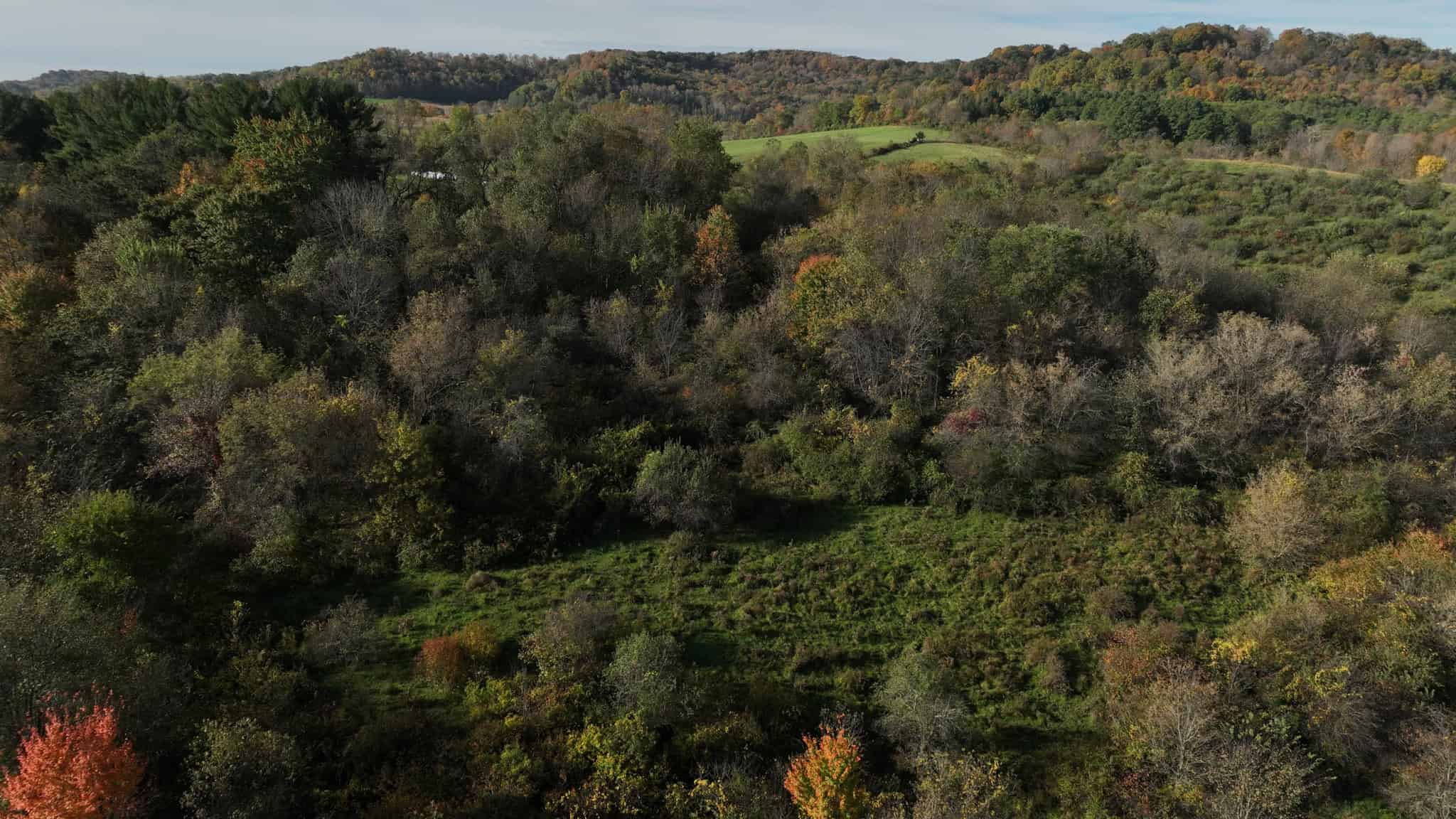 28+/- Acres of Wisconsin Countryside | Fenced Cattle Pasture, Hardwood Ridges, Stream & Dream Homesite