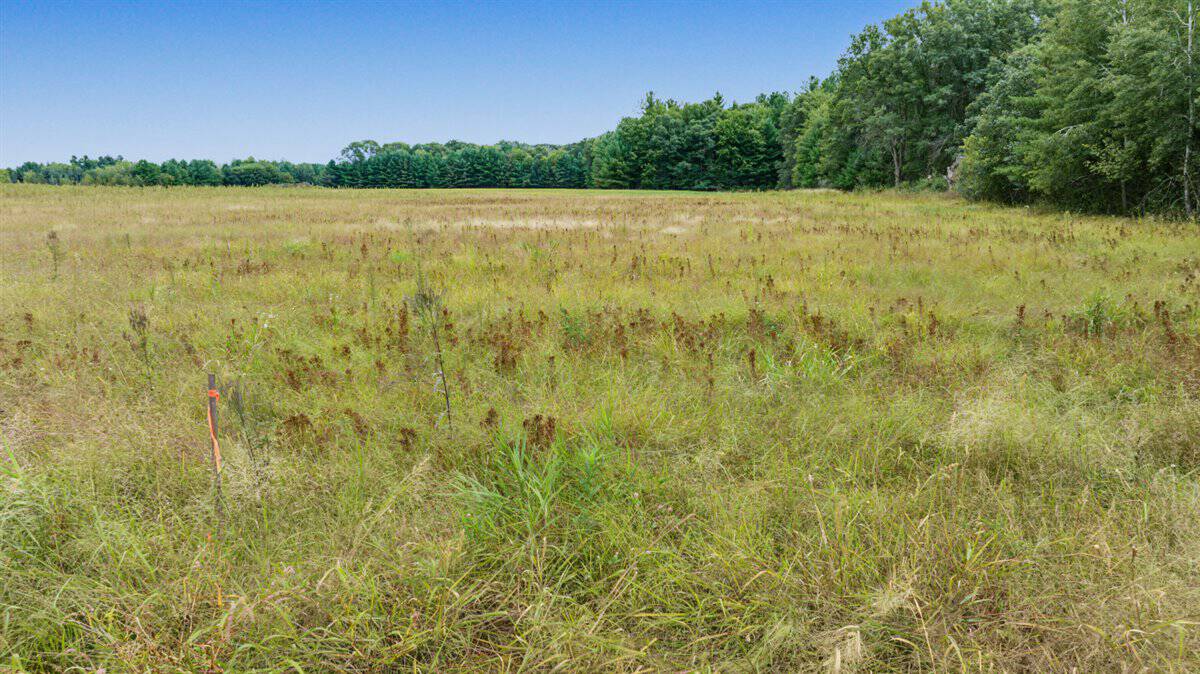 Proven big buck producer 121 Acres in Monroe County