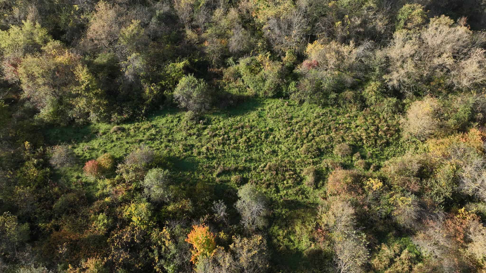 28+/- Acres of Wisconsin Countryside | Fenced Cattle Pasture, Hardwood Ridges, Stream & Dream Homesite