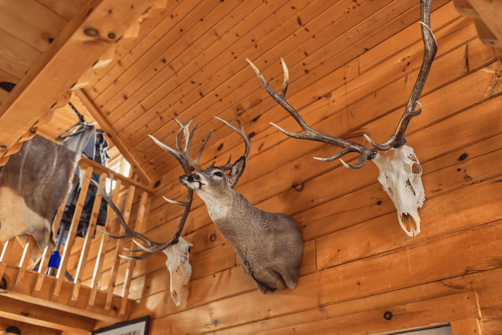 95.02-Acre Premier Whitetail Hunting Estate with Log Cabin, Pond & Spring-Fed Stream in Richland County, Wisconsin