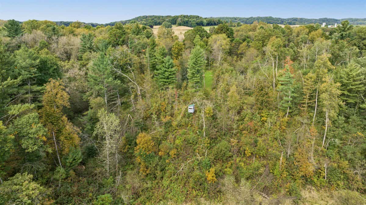 Turnkey 28± Acre Hunting Property Near Melrose, Wisconsin