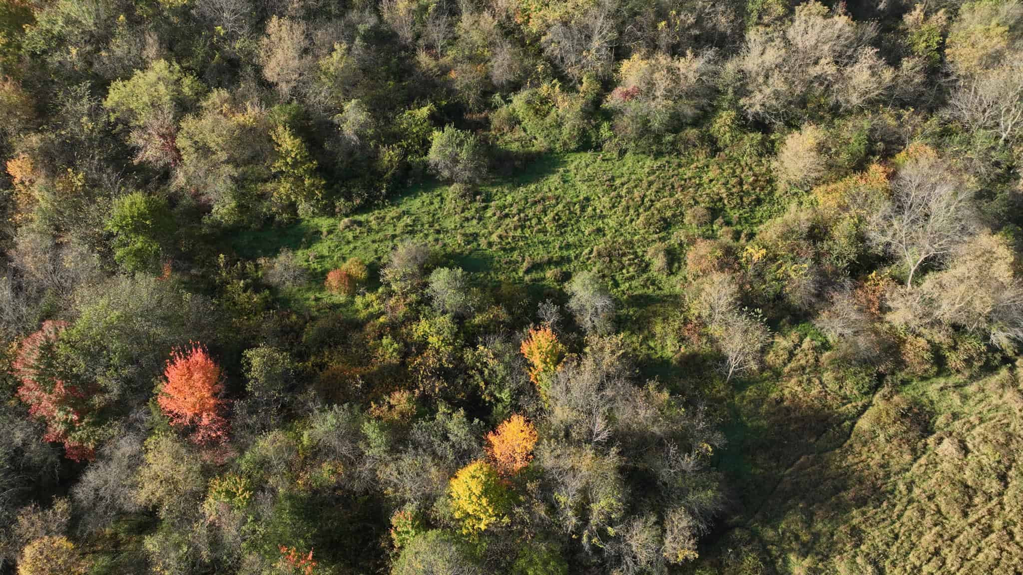 28+/- Acres of Wisconsin Countryside | Fenced Cattle Pasture, Hardwood Ridges, Stream & Dream Homesite