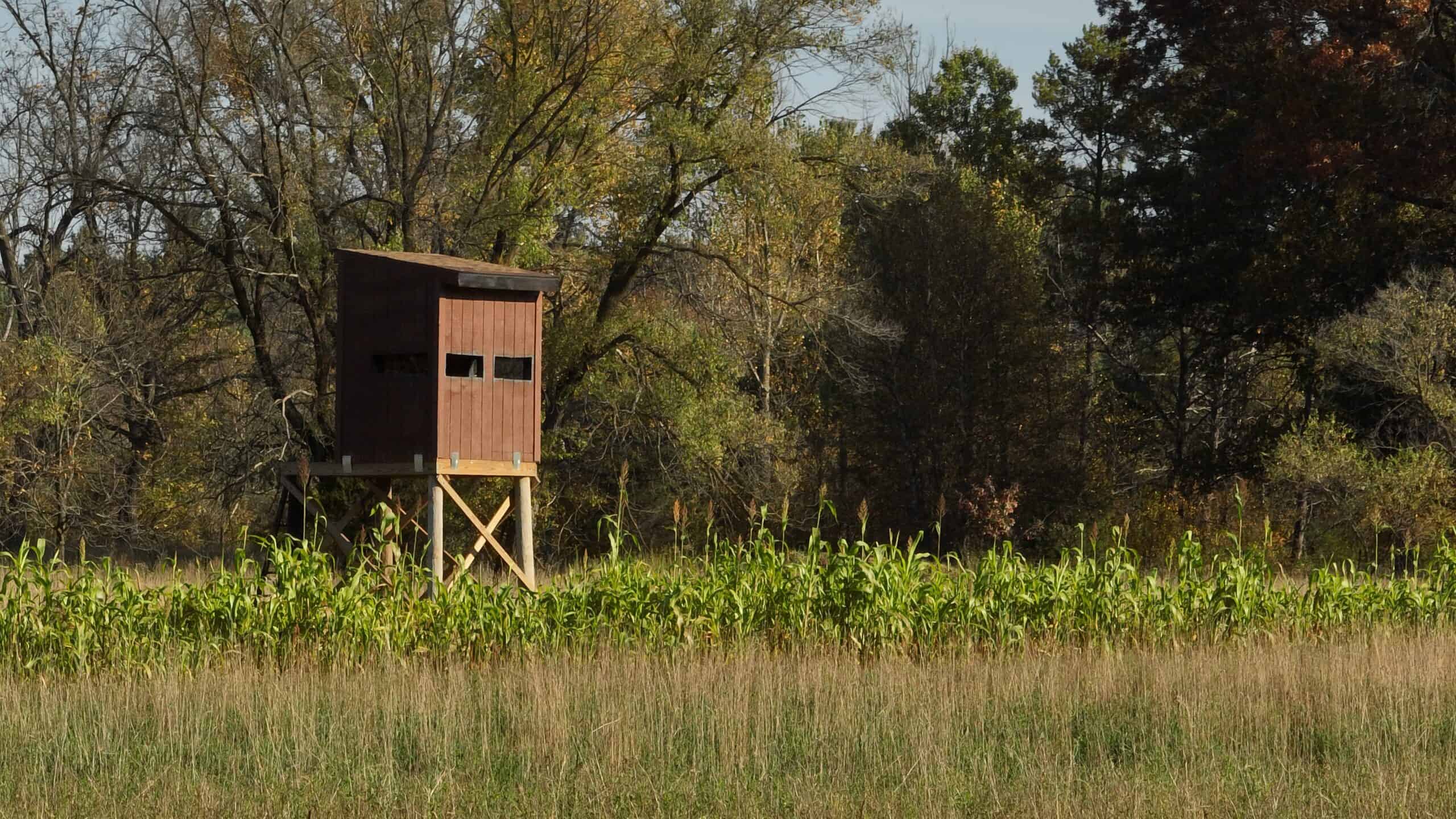 30-Acre Hunting & Camping Retreat with Food Plots, Well & RV Hookups | Adams County, Wisconsin