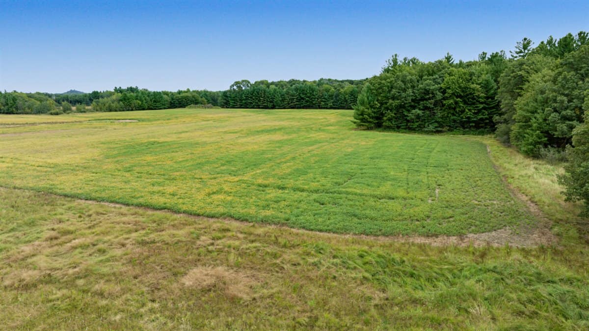 Proven big buck producer 121 Acres in Monroe County