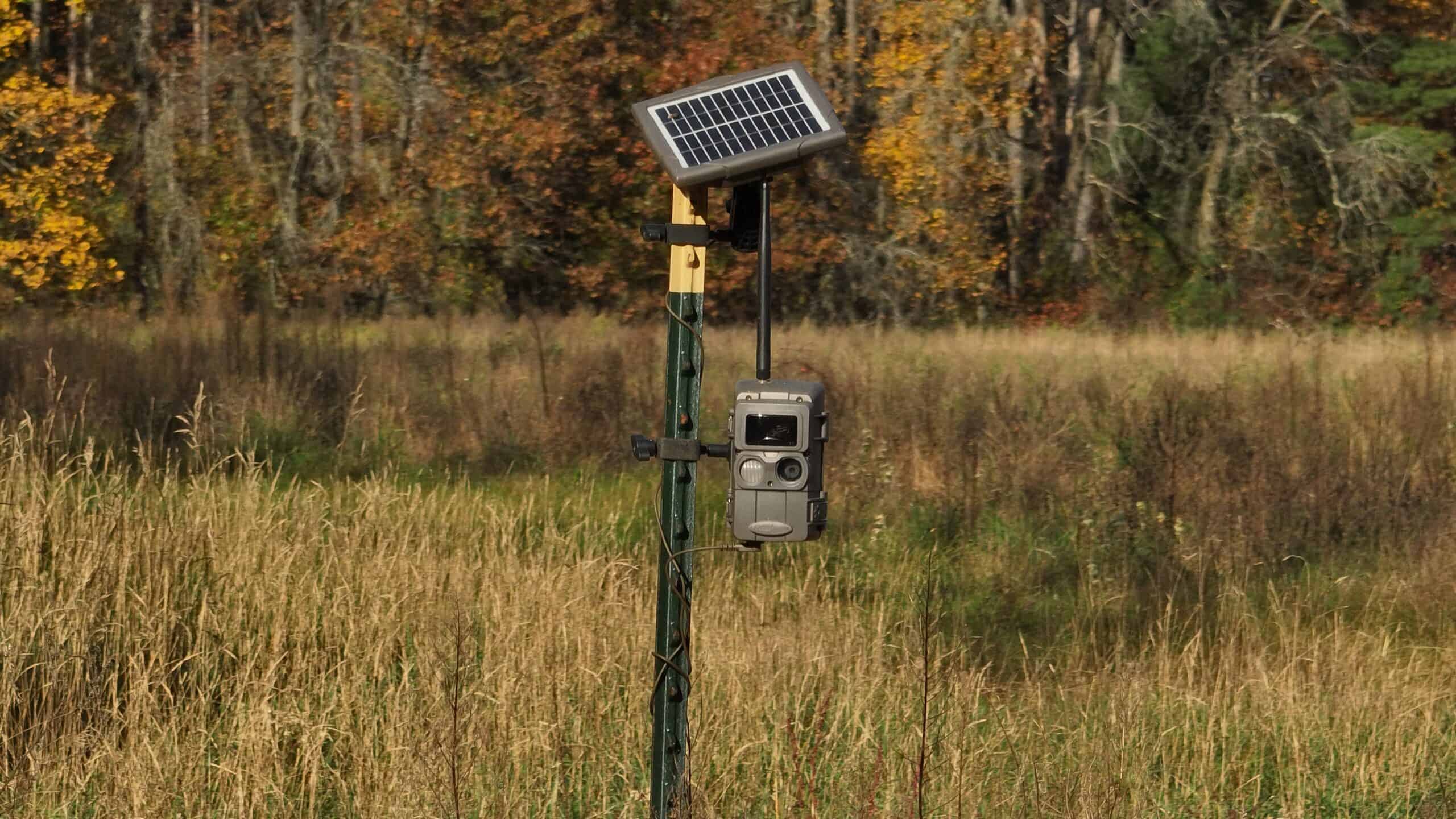 30-Acre Hunting & Camping Retreat with Food Plots, Well & RV Hookups | Adams County, Wisconsin