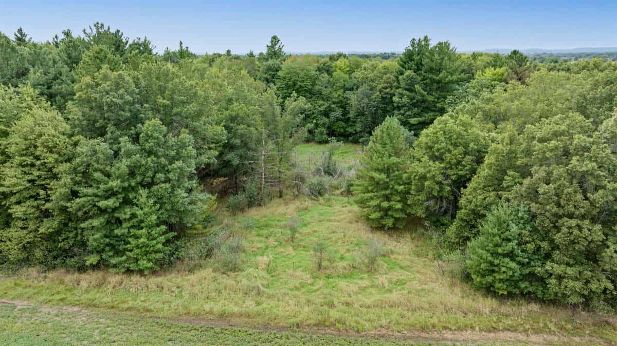 Proven big buck producer 121 Acres in Monroe County