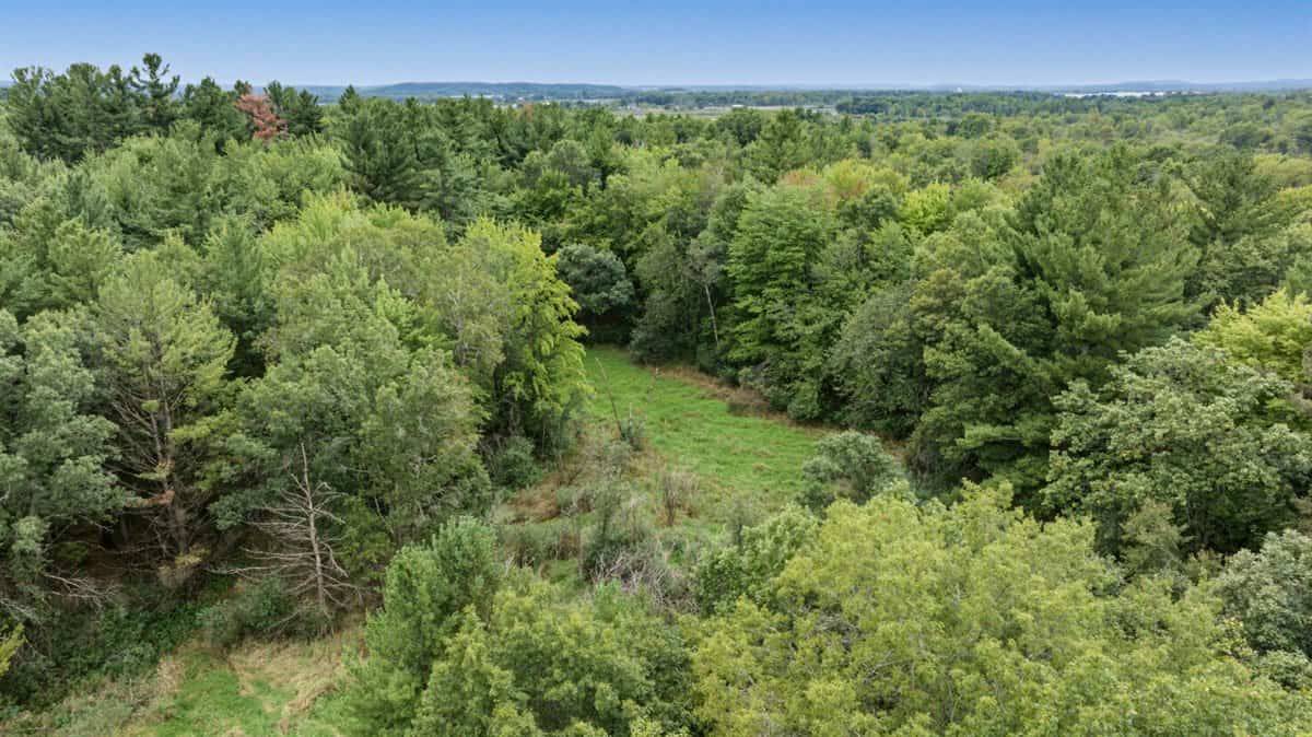 Proven big buck producer 121 Acres in Monroe County