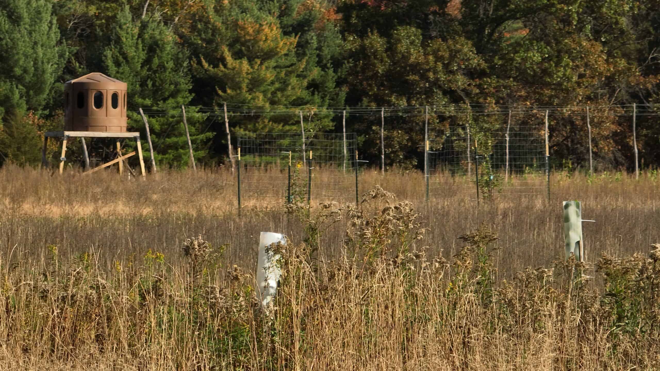 30-Acre Hunting & Camping Retreat with Food Plots, Well & RV Hookups | Adams County, Wisconsin