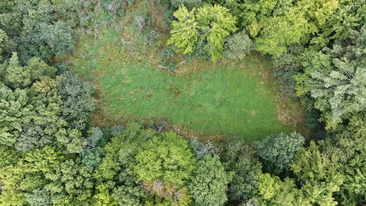 Proven big buck producer 121 Acres in Monroe County