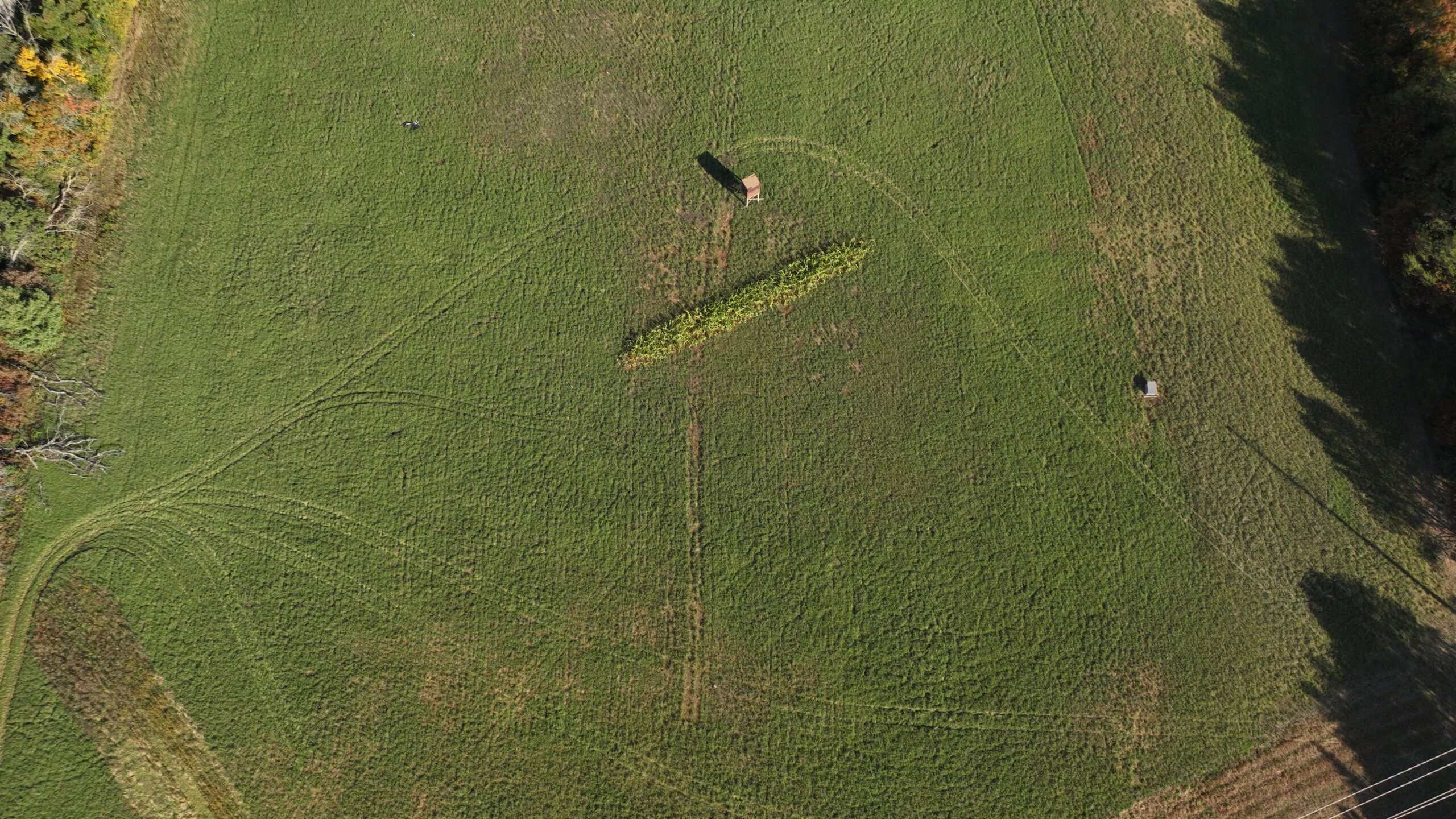30-Acre Hunting & Camping Retreat with Food Plots, Well & RV Hookups | Adams County, Wisconsin