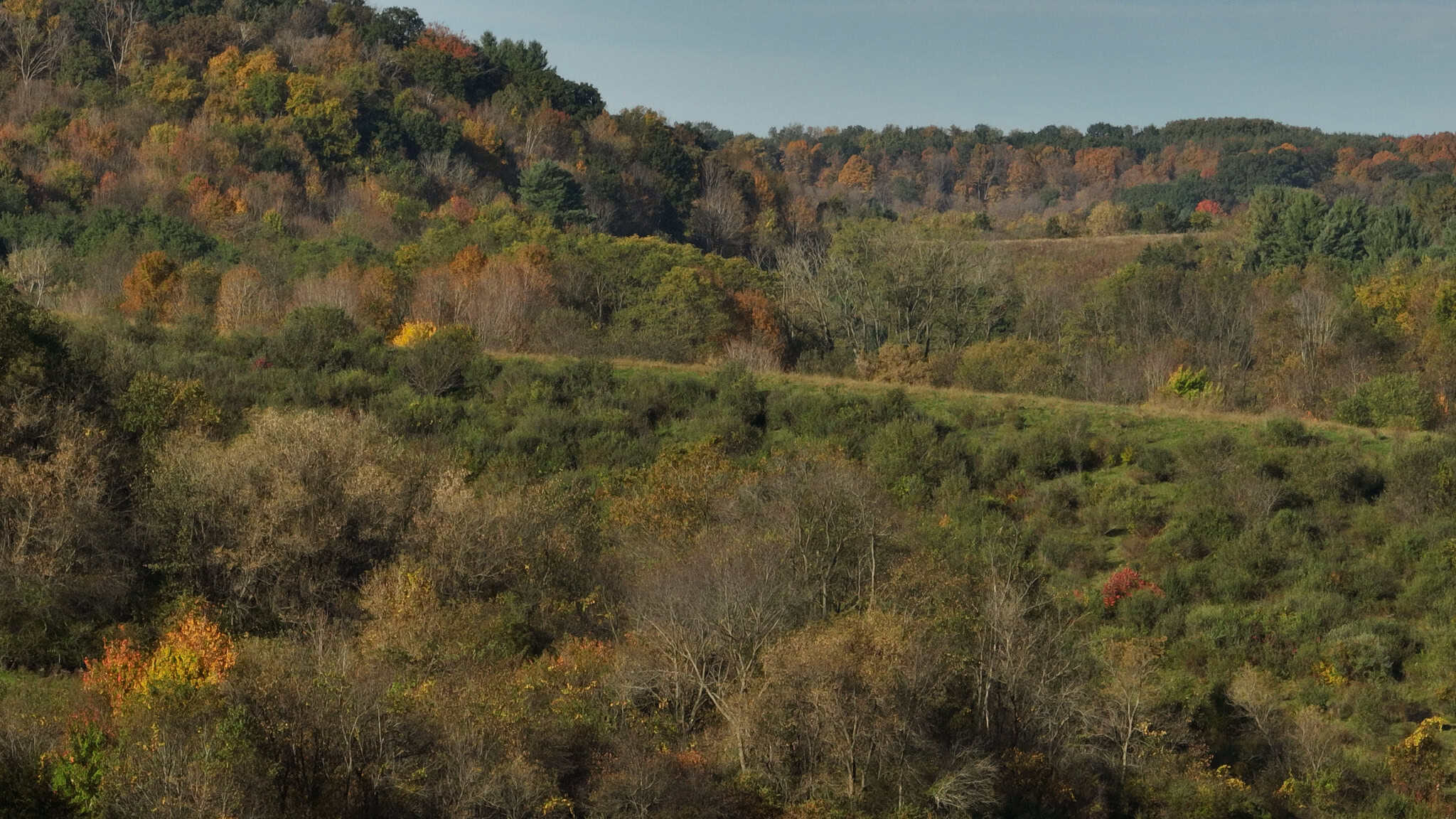 28+/- Acres of Wisconsin Countryside | Fenced Cattle Pasture, Hardwood Ridges, Stream & Dream Homesite