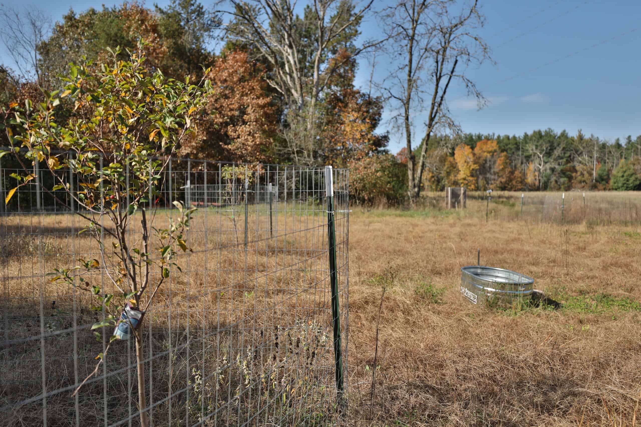 30-Acre Hunting & Camping Retreat with Food Plots, Well & RV Hookups | Adams County, Wisconsin