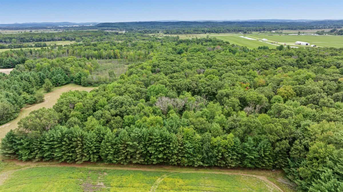 Proven big buck producer 121 Acres in Monroe County