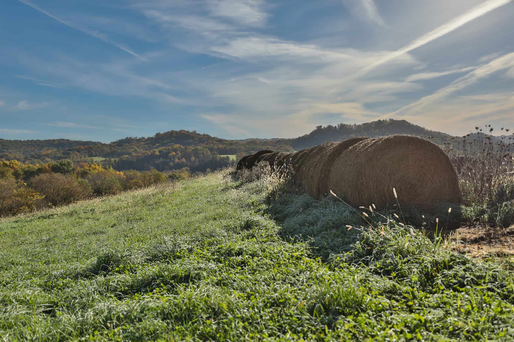 248+/- Acre Income-Producing Farm, Cattle Ranch & Hunting Estate in Richland County, Wisconsin