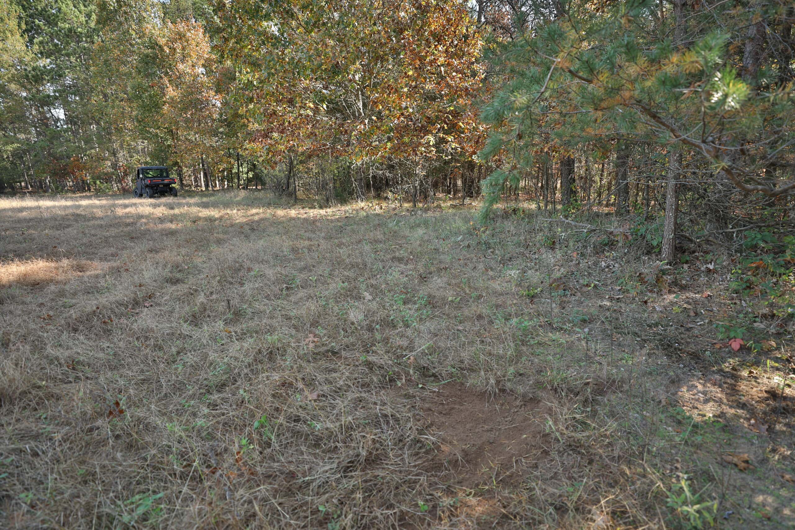 30-Acre Hunting & Camping Retreat with Food Plots, Well & RV Hookups | Adams County, Wisconsin