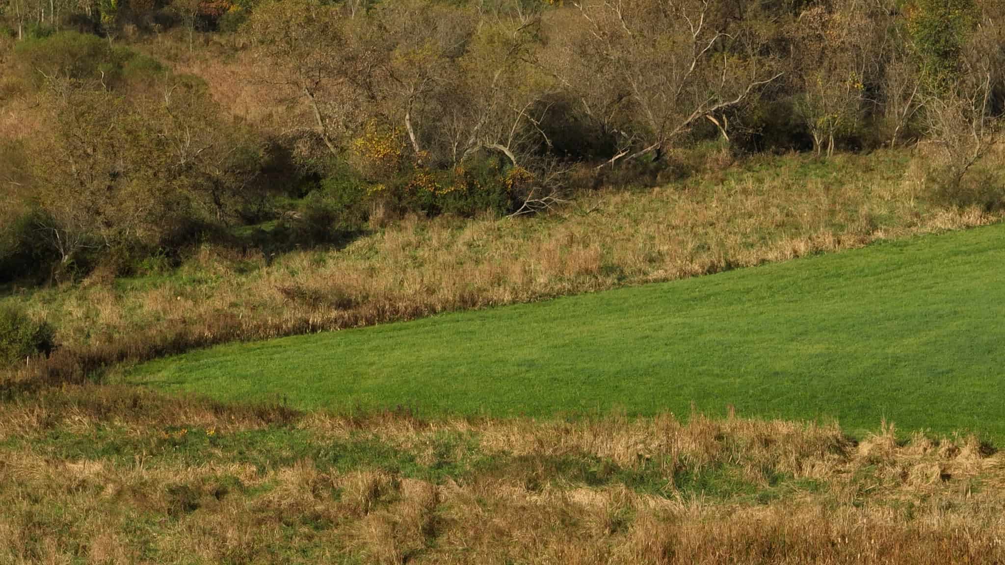 28+/- Acres of Wisconsin Countryside | Fenced Cattle Pasture, Hardwood Ridges, Stream & Dream Homesite