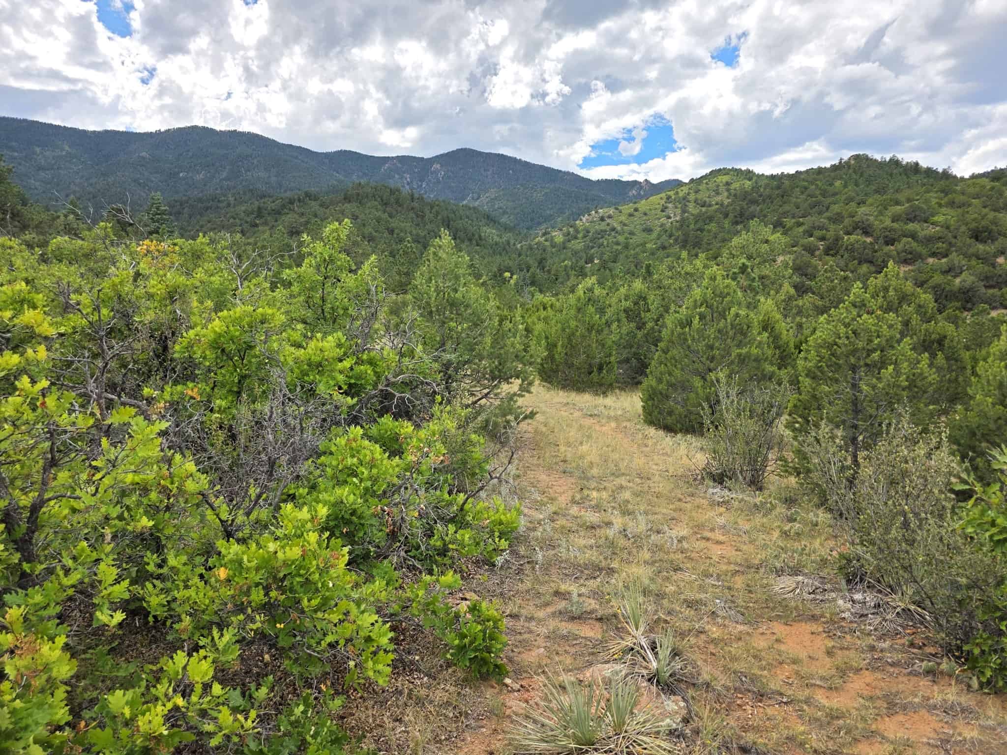 170.68 ± Acre Hunting Ranch by National Forest | Florence, CO